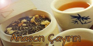 anason çayının faydaları