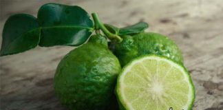 bergamot