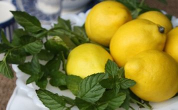 Nane Limon Nasıl Yapılır Faydaları Nelerdir? Nane limon nasıl yapılır faydaları nelerdir