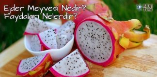 Ejder meyvesi nedir faydaları nelerdir